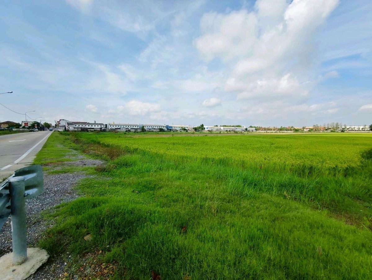 ขายที่ดินปทุมธานี รังสิต ธรรมศาสตร์ : ที่ดินแปลงสวย แปลงใหญ่ ลำลูกกา คลอง 5 | 8 ไร่กว่า | ราคาต่ำกว่าตลาด 🔥 ใกล้ถนนใหญ่เพียง 500 ม. | เหมาะลงทุน!