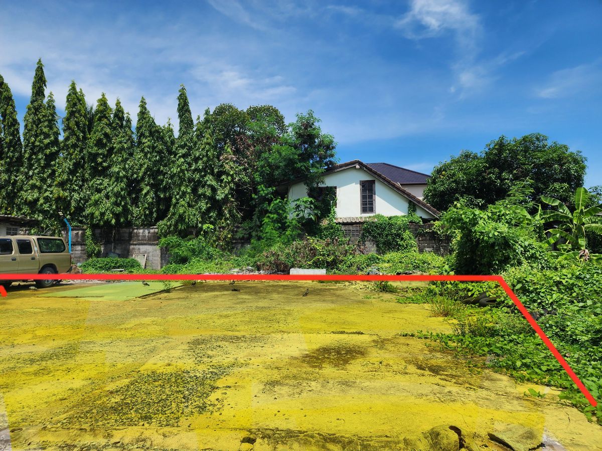 ขายที่ดินอ่อนนุช อุดมสุข : ขายที่ดิน 205 ตร.วา ในซอยอุดมสุข 48 