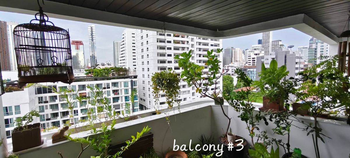 ขายคอนโดสุขุมวิท อโศก ทองหล่อ : 🏙️ ขายคอนโดหรู Rare Unit Pent House  ใจกลางสุขุมวิท Beverly Tower สุขุมวิท 13/1 – ใกล้ BTS นานา อโศก