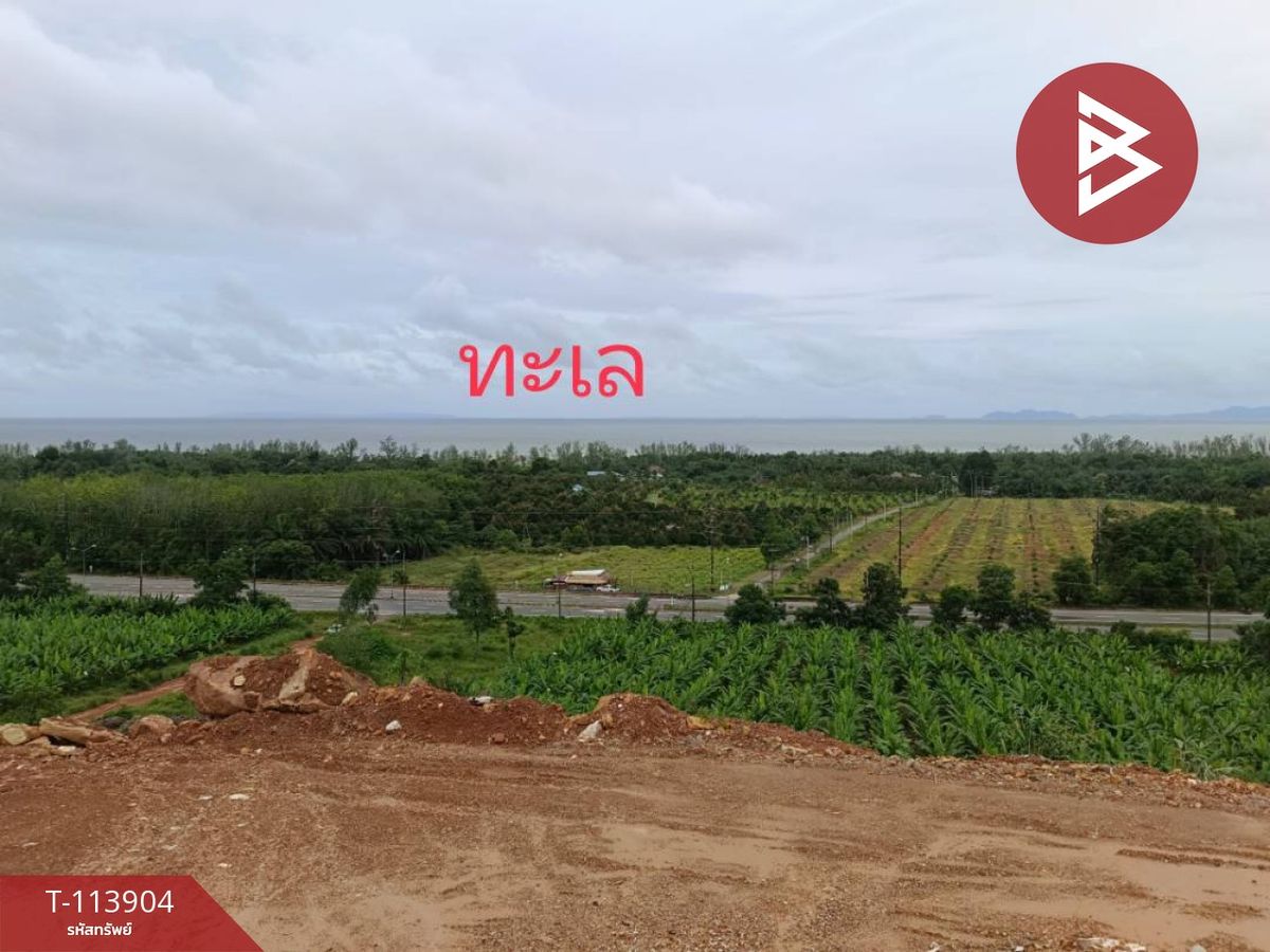 For SaleLandTrat : Beautiful land for sale, area of ​​9 rai 2 ngan 87 square wah