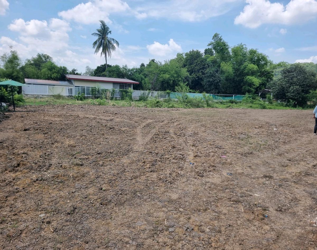 ขายที่ดินสุพรรณบุรี : ขายที่ดิน🚩 ติดแม่น้ำท่าจีน ทำเลดี ถมแล้ว  ห่างจากถนนใหญ่เพียง  100 เมตรอ.เดิมบางนางบวช จ.สุพรรณบุรี