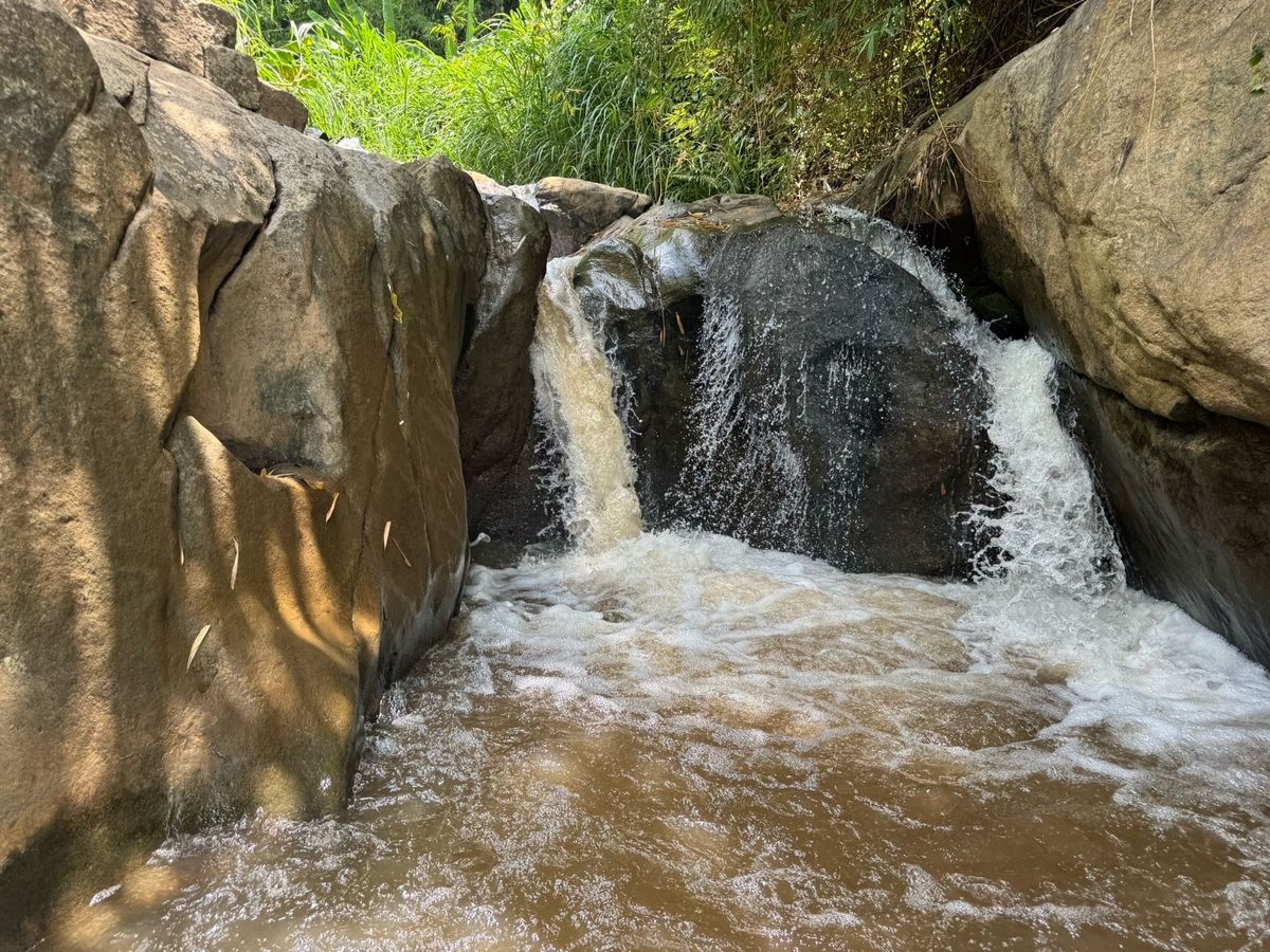 ขายที่ดินเชียงใหม่ : ที่ดินติดน้ำตก น้ำไหลทั้งปี วิวนาขั้นบันได โฉนดครุฑแดง อ.สะเมิง จ.เชียงใหม่