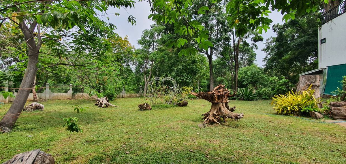 For SaleHousePak Chong KhaoYai : Sell ​​Khao Yai Villa, Pak Chong 2 rai.