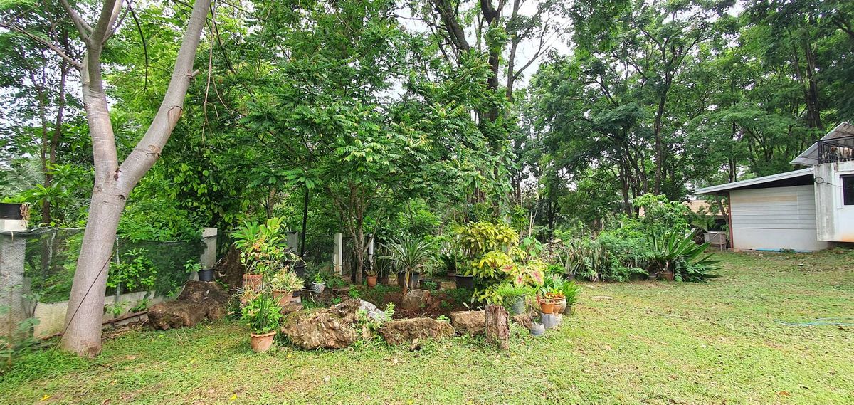 For SaleHousePak Chong KhaoYai : Sell ​​Khao Yai Villa, Pak Chong 2 rai.