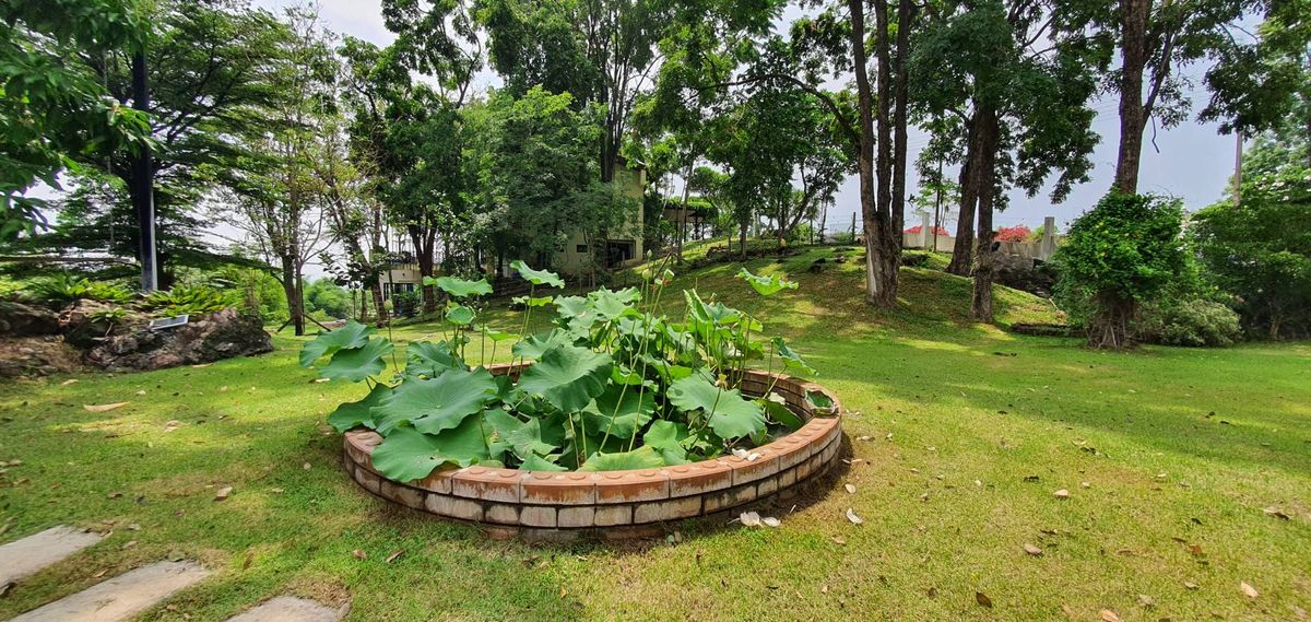 For SaleHousePak Chong KhaoYai : Sell ​​Khao Yai Villa, Pak Chong 2 rai.