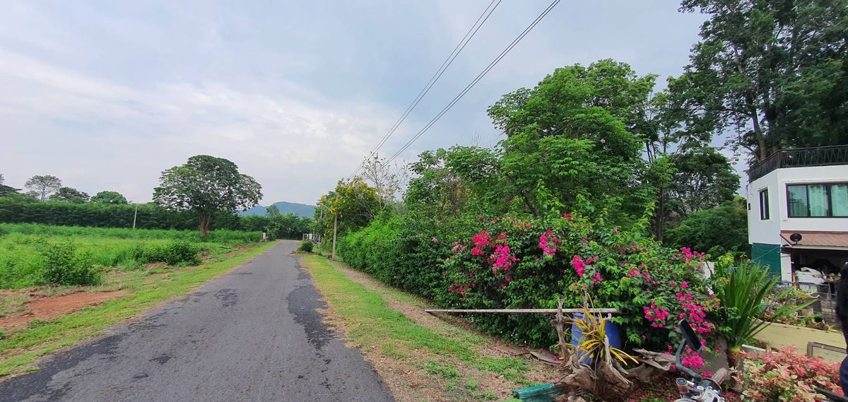 For SaleHousePak Chong KhaoYai : Sell ​​Khao Yai Villa, Pak Chong 2 rai.