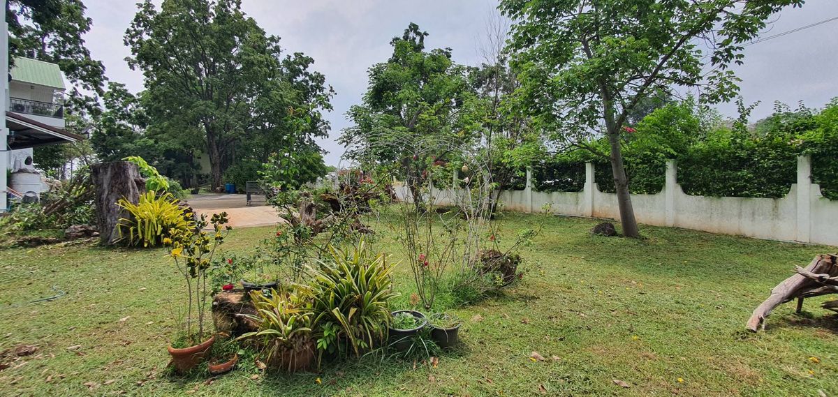 For SaleHousePak Chong KhaoYai : Sell ​​Khao Yai Villa, Pak Chong 2 rai.