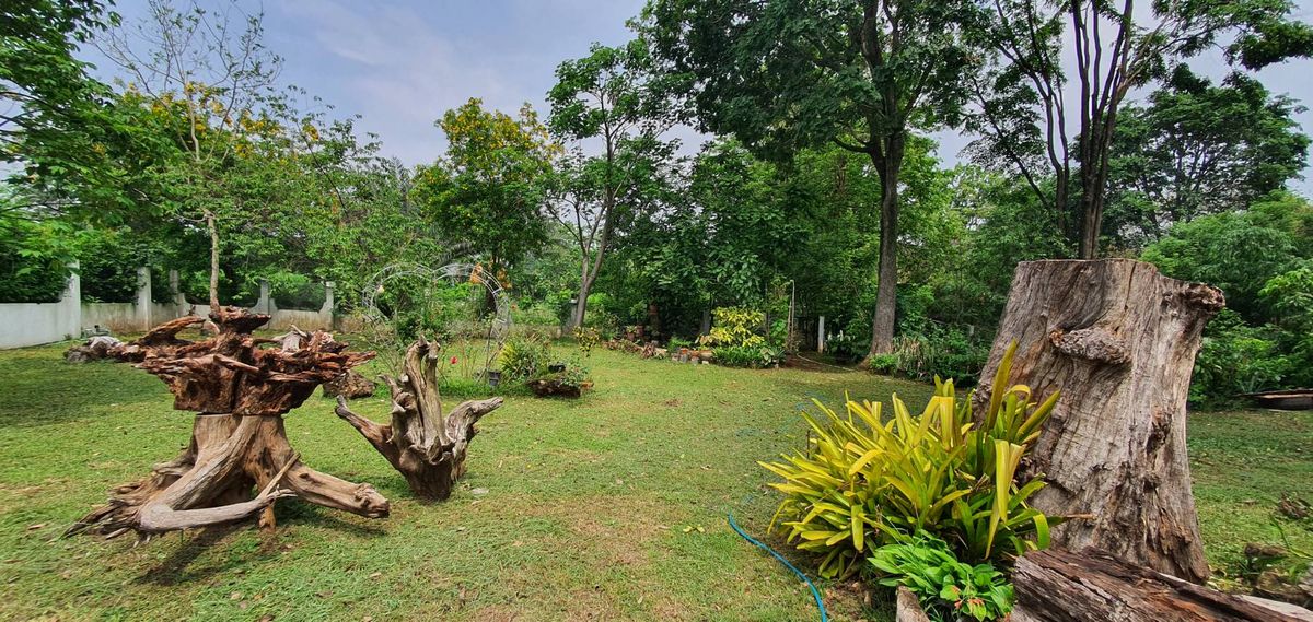 For SaleHousePak Chong KhaoYai : Sell ​​Khao Yai Villa, Pak Chong 2 rai.