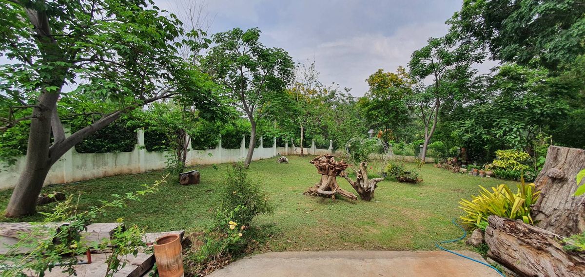 For SaleHousePak Chong KhaoYai : Sell ​​Khao Yai Villa, Pak Chong 2 rai.