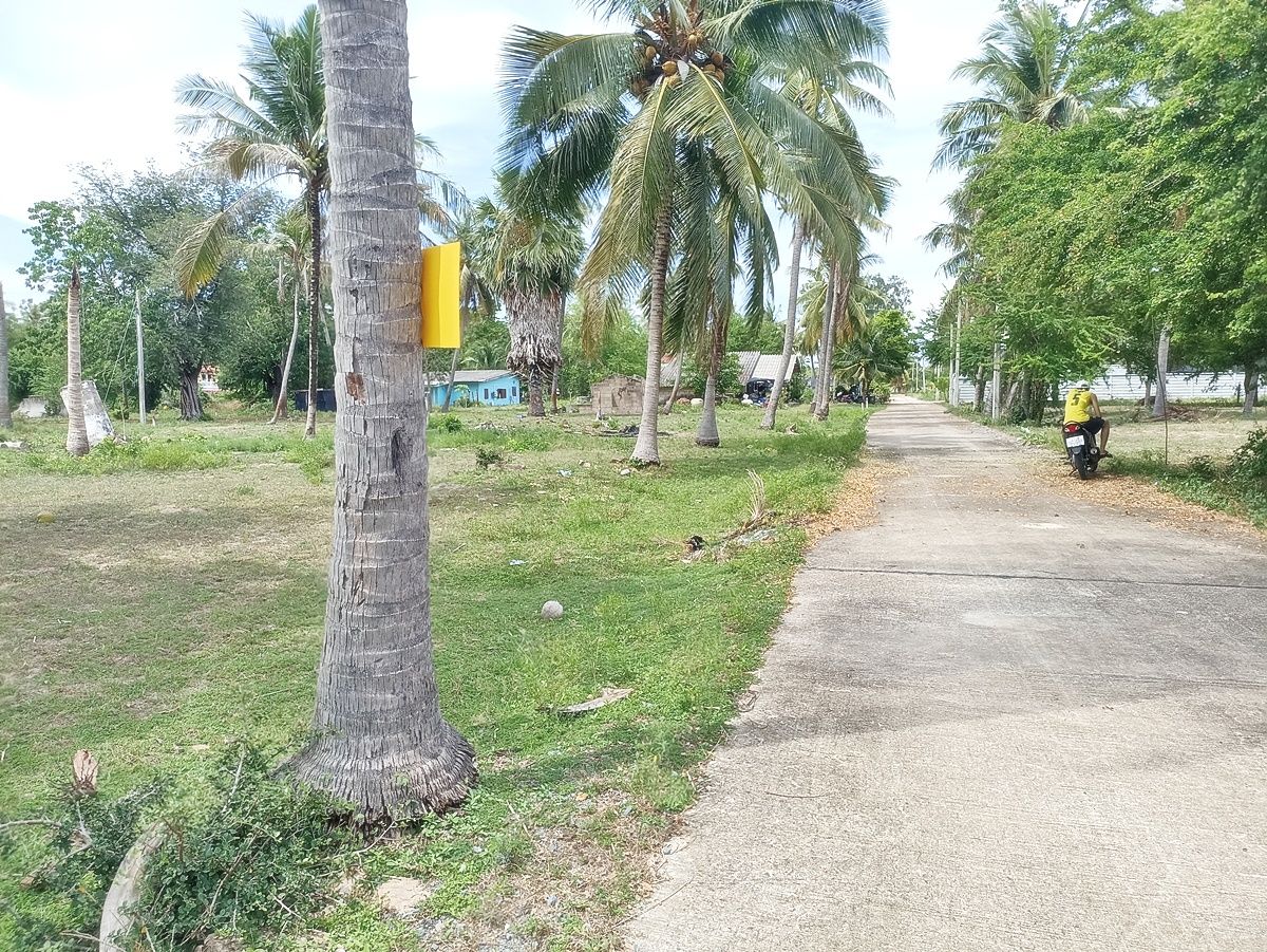 ขายที่ดินหัวหิน ประจวบคีรีขันธ์ : ขายที่ดินริมชายหาดบ่อนอก 2 ไร่ 1 งาน 92.7 ตรว. ติดถนนสาธารณะ
