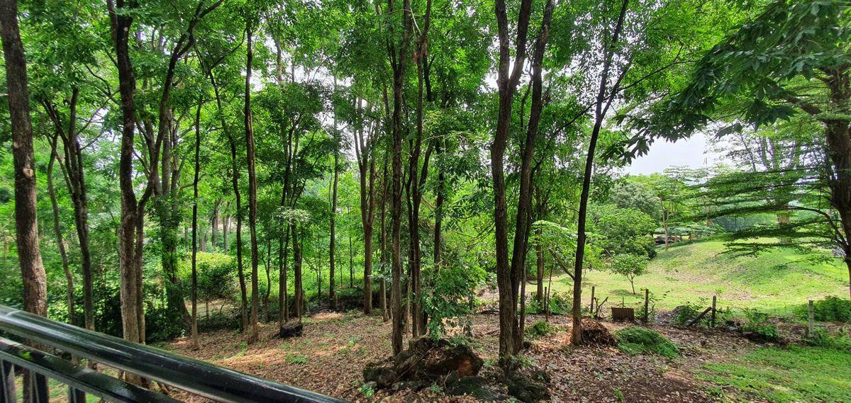 For SaleHousePak Chong KhaoYai : Sell ​​Khao Yai Villa, Pak Chong 2 rai.