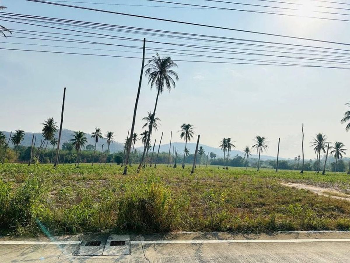 ขายที่ดินศรีราชา แหลมฉบัง บ้านบึง : ขายที่ดินศรีราชา เขาคันทรง เขตหุบบอน แปลงสวย ใกล้นิคมwha