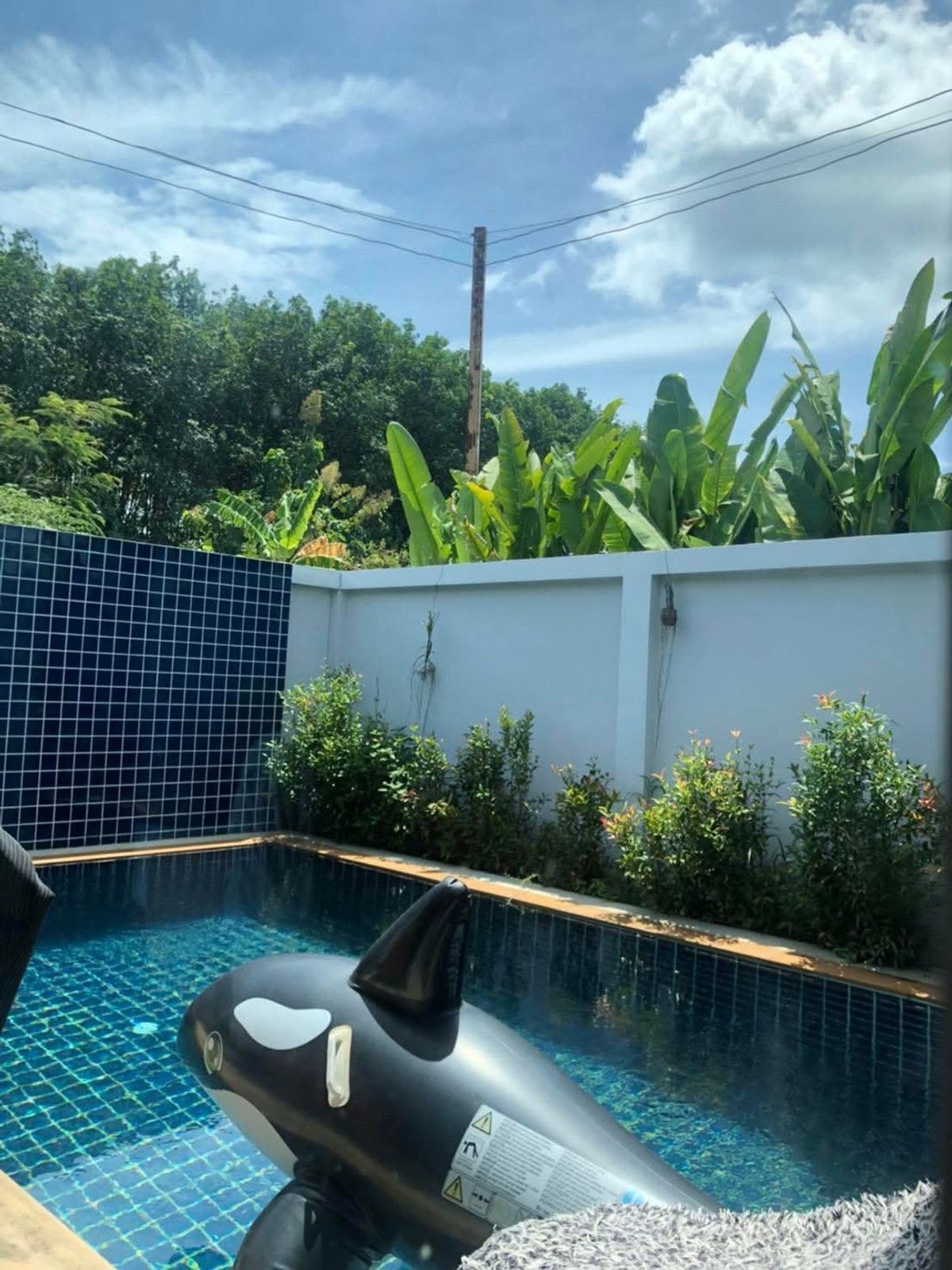 For RentPhuket : Rent Pool Villa, near Robinson Thalang Pa Pa