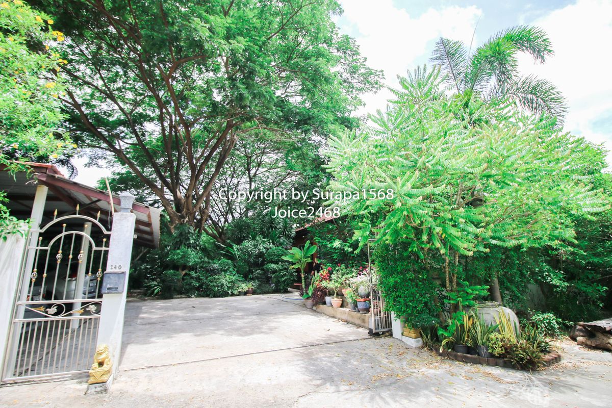 ขายบ้านหัวหิน ประจวบคีรีขันธ์ : ขายที่ดิน พร้อมบ้านชั้นเดียว สองหลัง หัวหิน ประจวบ ห้วยมงคล 430.8 ตร.ว มีสระว่ายน้ำ หลังริม เงียบสงบ