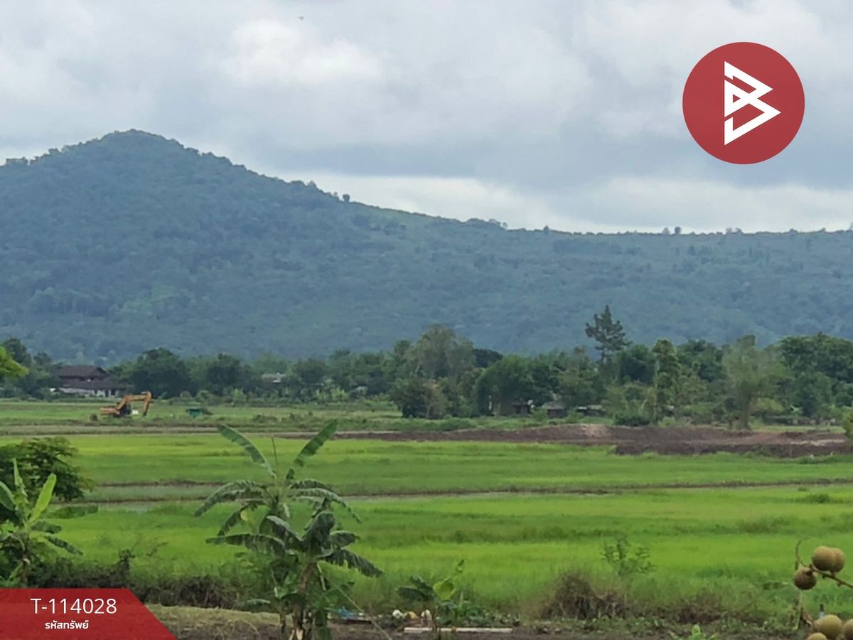 ขายที่ดินเชียงราย : ขายที่ดินติดทางหลวงสาย พาน-ป่าแดด เชียงราย