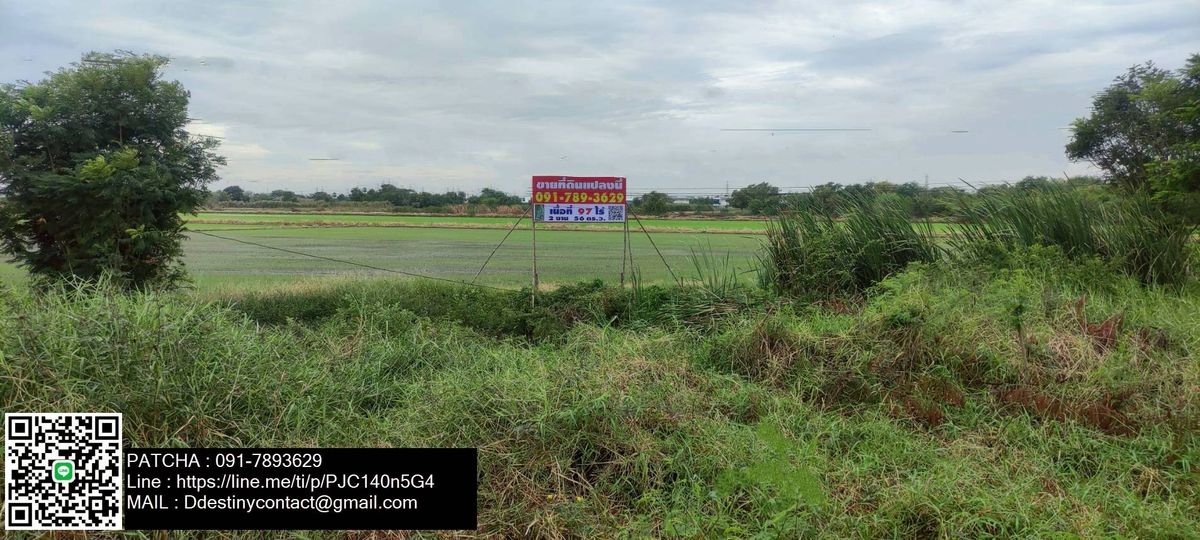 ขายที่ดินปทุมธานี รังสิต ธรรมศาสตร์ : ขายที่ดินเปล่าทำเลทอง ติดถนนสายหลักใหญ่ ปทุมธานี ตำบลหน้าไม้ อำเภอหลุมแก้ว จังหวัดปทุมธานี ราคา 585,840,000 บาท (ตร.ว.ละ 15,000.- เท่านั้น)