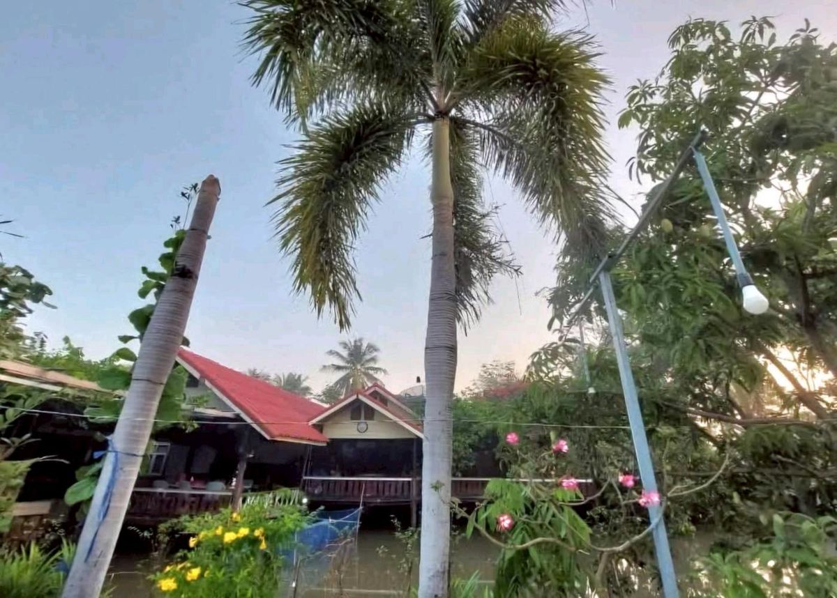 ให้เช่าบ้านพุทธมณฑล ศาลายา : ให้เช่า บางปลารีสอร์ท รายวัน/รายเดือน อยู่อ.บางเลน นครปฐม