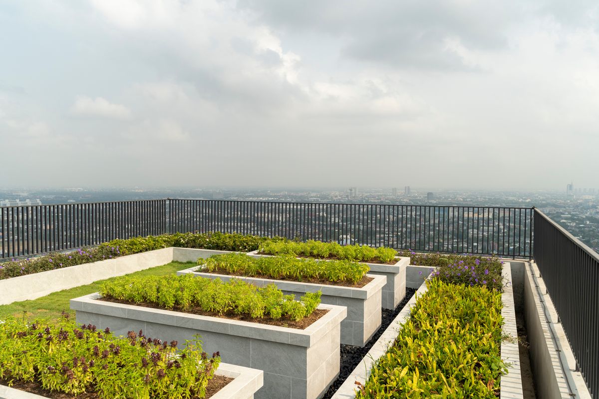 For RentCondoRattanathibet, Sanambinna : ✨ Condo for rent, ready to stay in the Flexi Rattanathibet Project, a new room, good location, connecting 3 train stations *does not accept foreigners