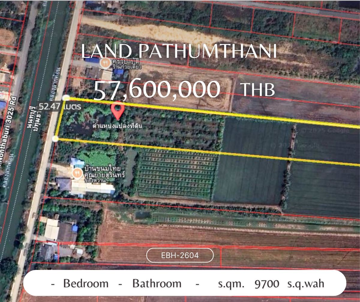 ขายที่ดินปทุมธานี รังสิต ธรรมศาสตร์ : ขายที่ดินย่านนพวงศ์ ปทุมธานี ที่สวย รูปสี่เหลี่ยมผืนผ้า เนื้อที่ขนาด 24 ไร่ 1 งาน