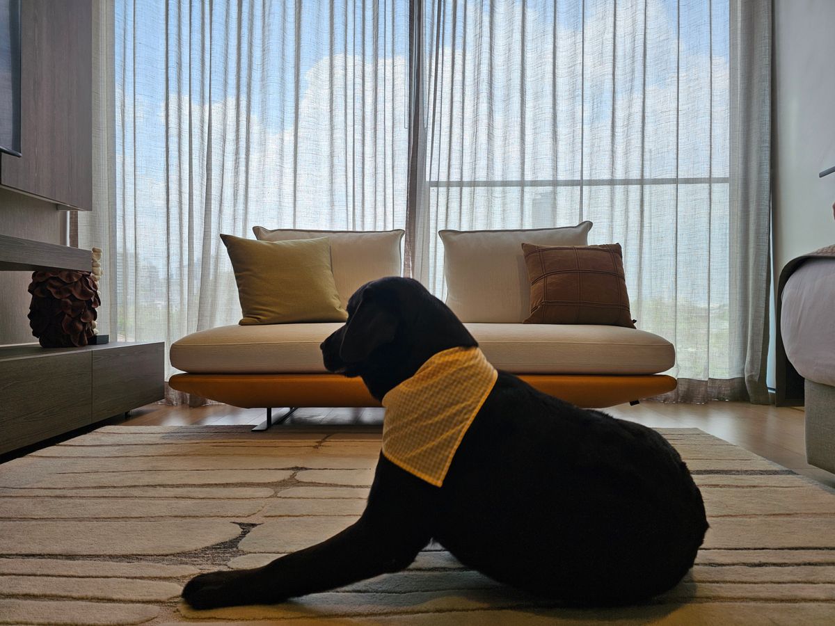 For SaleCondoSukhumvit, Asoke, Thonglor : 🐾 SCOPE Promsri – A luxury condo in the heart of Sukhumvit, thoughtfully designed for true pet lovers. Truly Pet-Friendly! Starting from 28 sq.m. at THB 6.8 million, with rental yields up to 5%*.