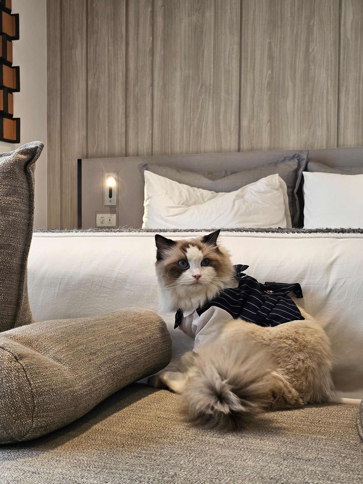 For SaleCondoSukhumvit, Asoke, Thonglor : 🐾 SCOPE Promsri – A luxury condo in the heart of Sukhumvit, thoughtfully designed for true pet lovers. Truly Pet-Friendly! Starting from 28 sq.m. at THB 6.8 million, with rental yields up to 5%*.