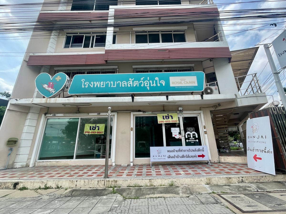 ให้เช่าอาคารพาณิชย์รามคำแหง หัวหมาก : เช่า ตึกชั้นล่างสำหรับทำคลีนิก หมอฟัน หรือคลีนิกหมอเสริมสวย ทำเลดี ฮวงจุ้ยดีหัวมังกร ขนาด 90 ตรม หน้ากว้าง 8 เมตร 