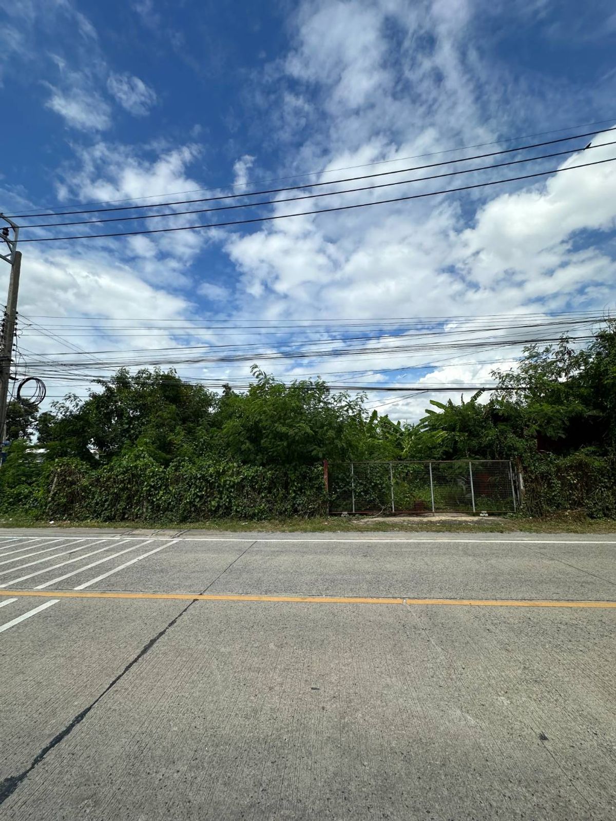 For SaleLandNonthaburi, Bang Yai, Bangbuathong : 💥 Golden Land, Sai Ma Nonthaburi