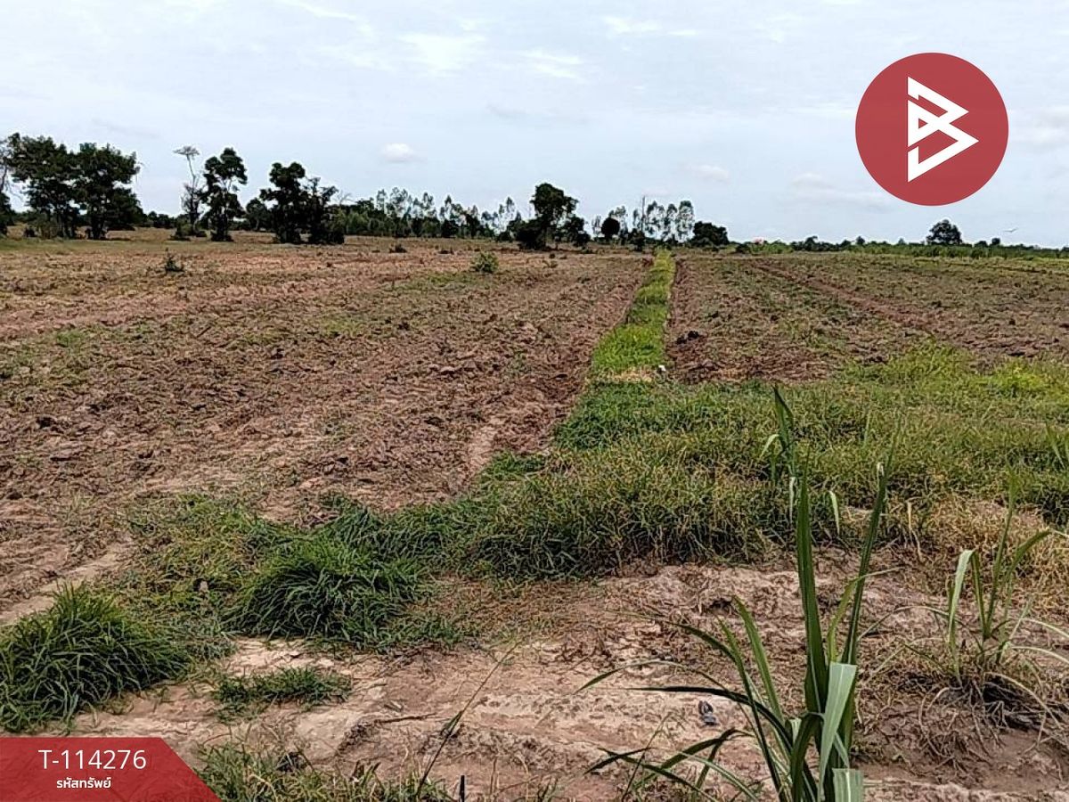 For SaleLandChaiyaphum : Land for sale in an area of ​​26 rai 2 ngan 64 sq.waen Narong