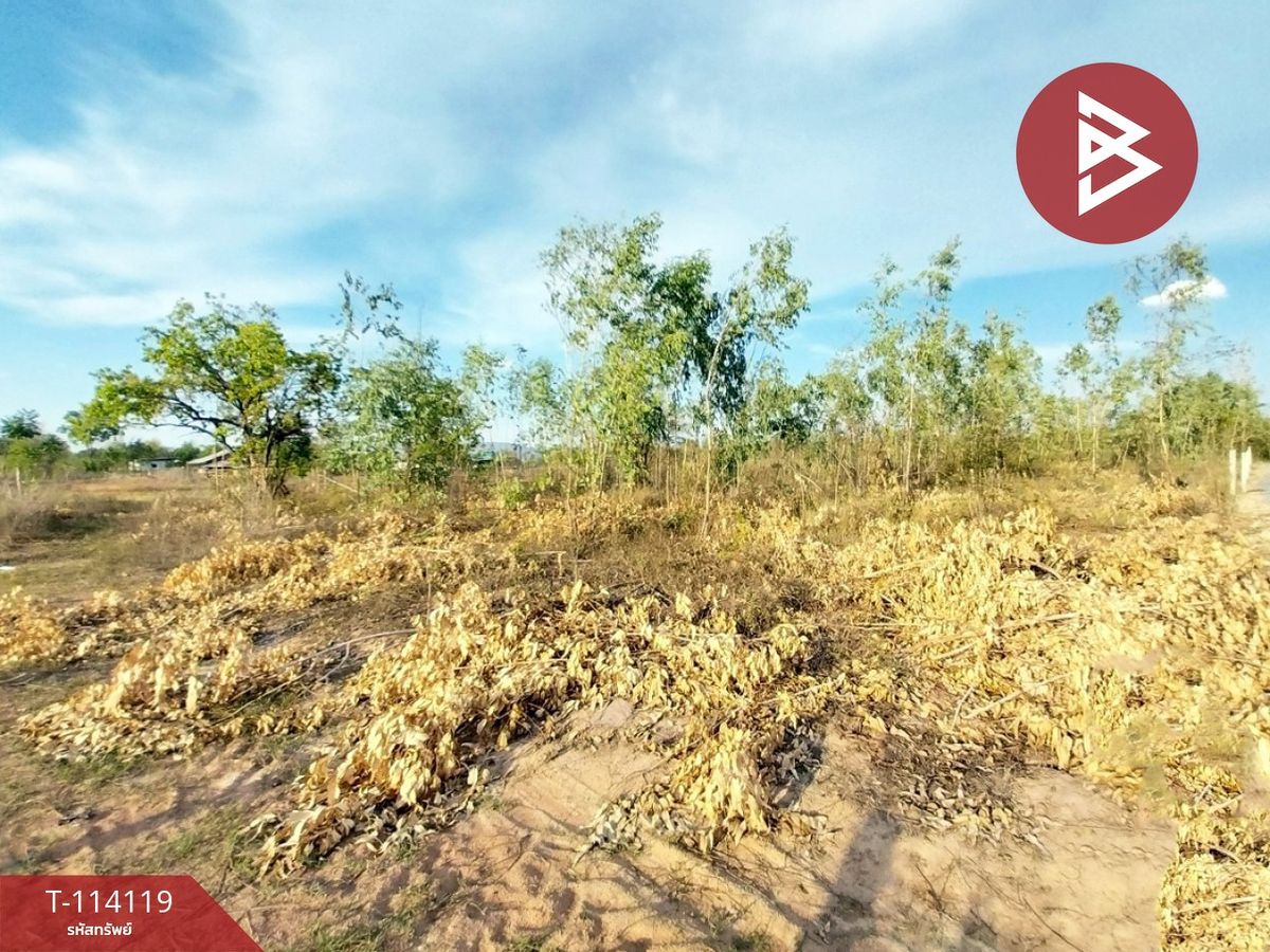 ขายที่ดินหนองบัวลำภู : ขายที่ดิน เนื้อที่ 2 ไร่ โพธิ์ชัย หนองบัวลำภู