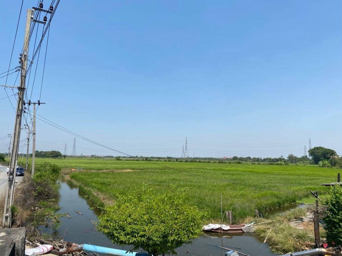 ขายที่ดินลาดกระบัง สุวรรณภูมิ : ขายที่ดิน ฉลองกรุง54 ลาดกระบัง เนื้อที่5ไร่ 3งาน 11ตร.ว ราคา25,000,000฿