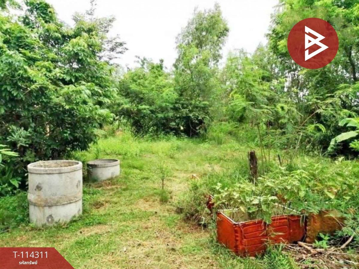 ขายที่ดินหนองคาย : ขายที่ดิน เนื้อที่ 2 งาน 17.2 ตร.วา ท่าบ่อ หนองคาย