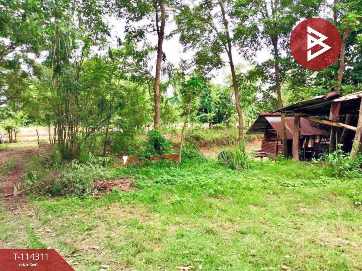 ขายที่ดินหนองคาย : ขายที่ดิน เนื้อที่ 2 งาน 17.2 ตร.วา ท่าบ่อ หนองคาย