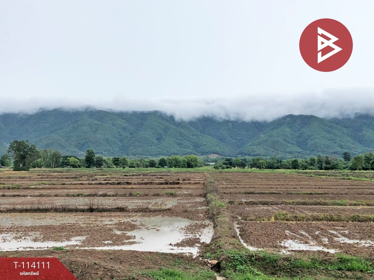 ขายที่ดินเชียงราย : ขายที่ดิน เนื้อที่ 24 ไร่ 15 ตร.วา ป่าแดด เชียงราย