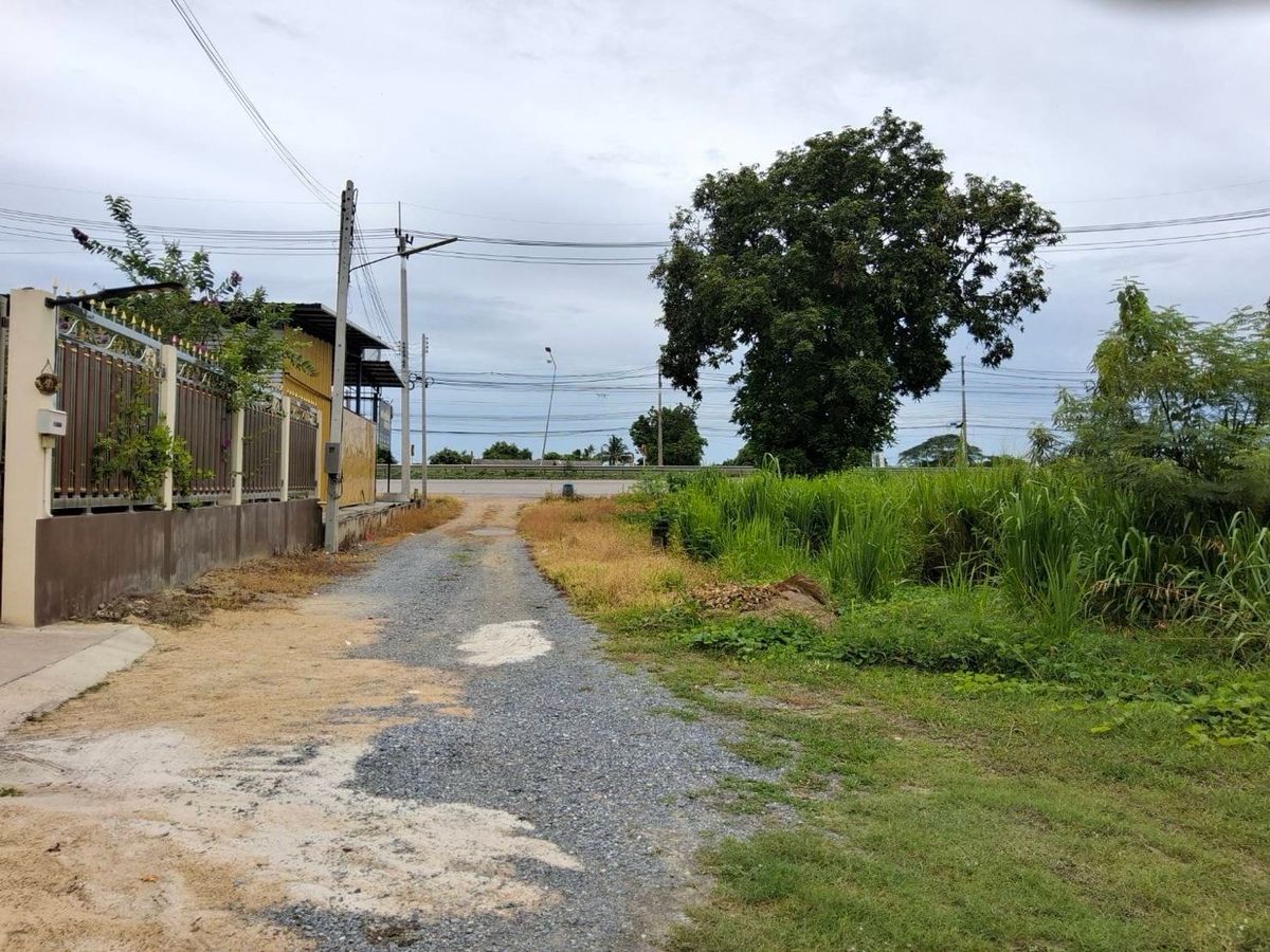 ขายที่ดินนครปฐม : ขายที่ดิน 