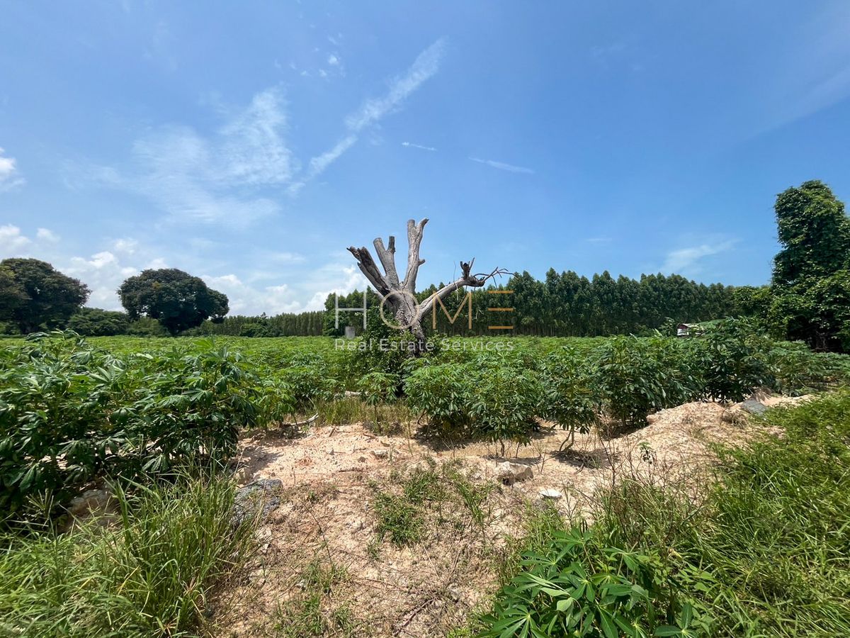 ขายที่ดินระยอง : ✨ โอกาสเดียว! ที่ดิน 9 ไร่ ถนนพลา บ้านฉาง ใกล้สนามบินอู่ตะเภา–EEC ✨ (FOR SALE) NUT2174