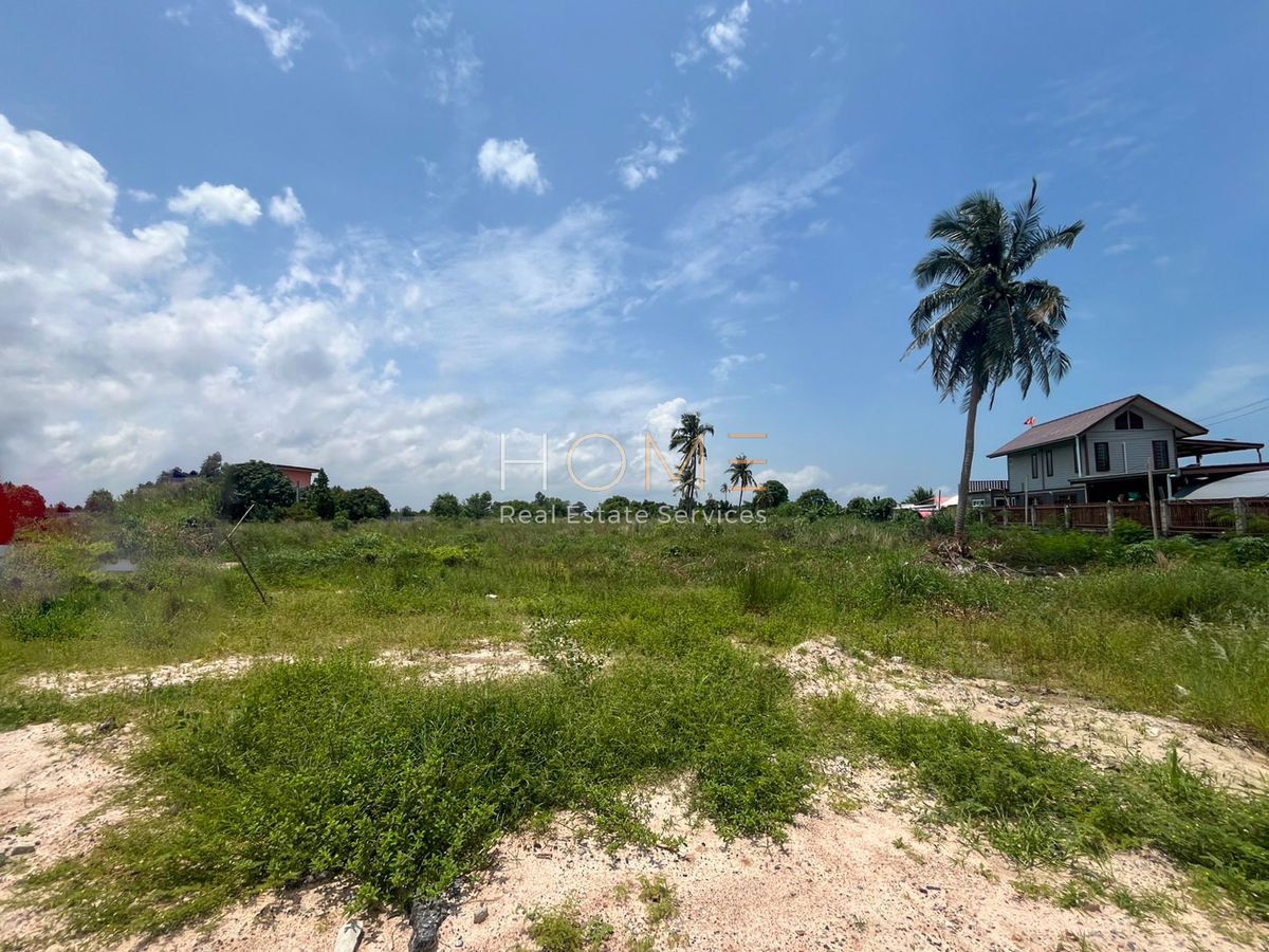 ขายที่ดินระยอง : 🔶 โอกาสเดียว! ที่ดิน 9 ไร่ ถนนพลา ใกล้สนามบินอู่ตะเภา ✨ (FOR SALE) NUT2173