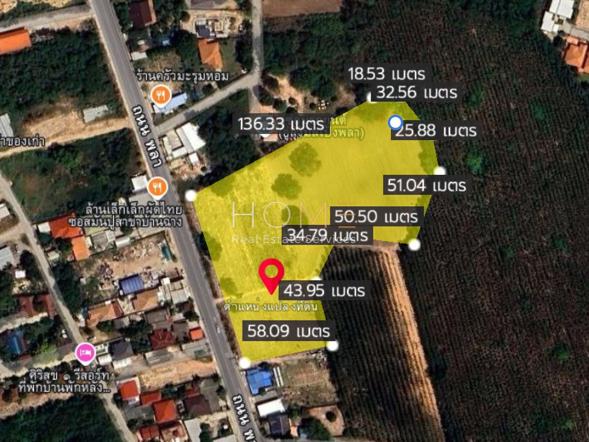 ขายที่ดินระยอง : ✨ โอกาสเดียว! ที่ดิน 9 ไร่ ถนนพลา บ้านฉาง ใกล้สนามบินอู่ตะเภา–EEC ✨ (FOR SALE) NUT2174