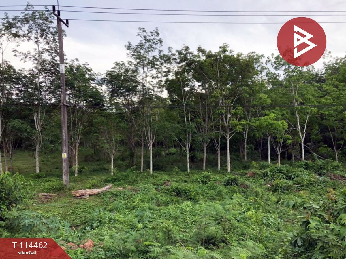 For SaleLandNakhon Si Thammarat : Urgent sale, rubber plantation, area of ​​15 rai 1 ngan 2.4 square wah, Chulabhorn Nakhon Si Thammarat