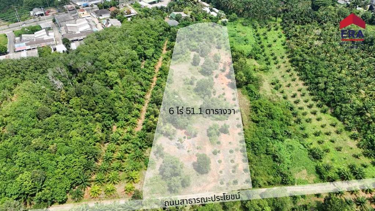 For SaleLandKrabi : Prime Land for Sale: 6 Rai 51.1 Sq. Wah in the Heart of Krabi City