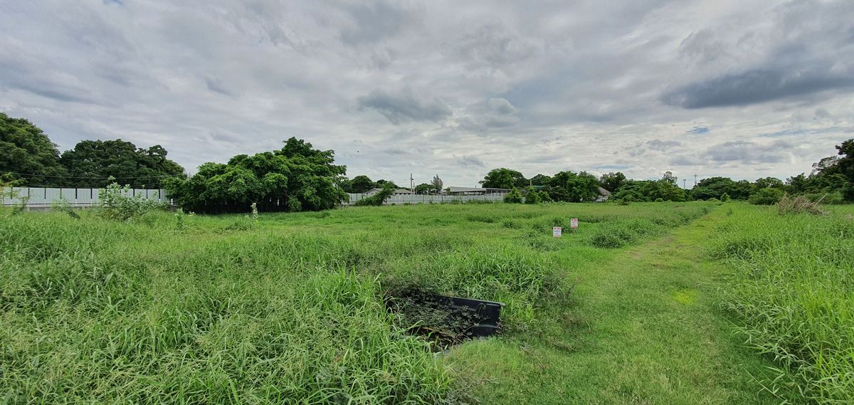 For SaleLandMin Buri, Romklao : Land for sale Soi beside Romklao, Soi 6, area 444 square wah, Min Buri, Bangkok