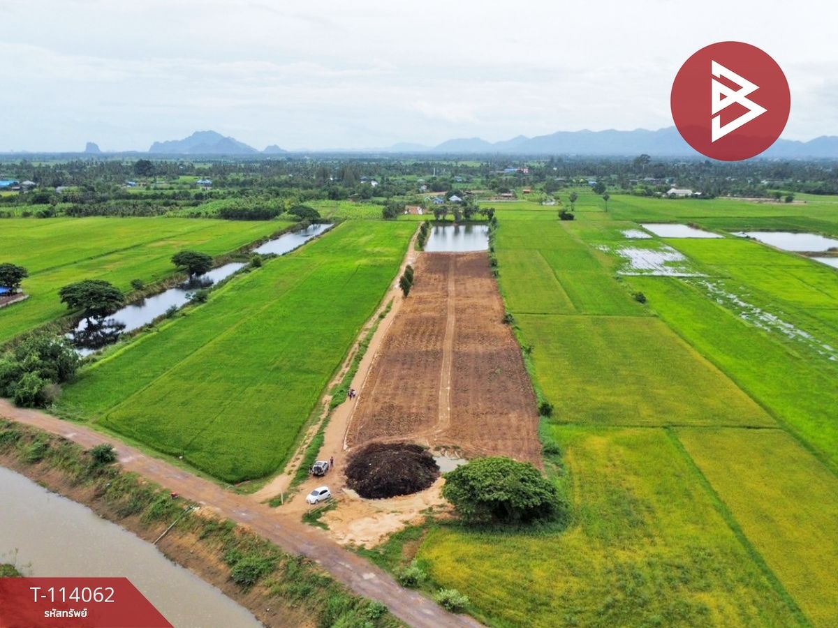 ขายที่ดินชะอำ เพชรบุรี : ขายที่ดิน เนื้อที่ 11 ไร่ 9 ตร.วา ท่ายาง เพชรบุรี