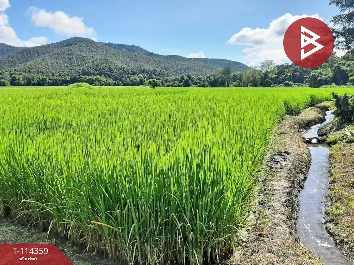 For SaleLandChiang Mai : Land for sale, area 3 rai 32.7 square wah, Doi Saket, Chiang Mai