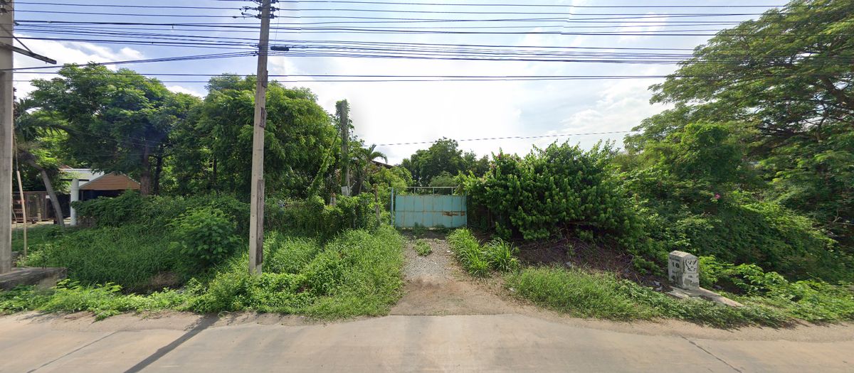 ให้เช่าที่ดินฉะเชิงเทรา : ให้เช่า ที่ดิน ที่ดินเปล่า 1 ไร่ 153 ตร.ว.  บ้านโพธิ์ ฉะเชิงเทรา 