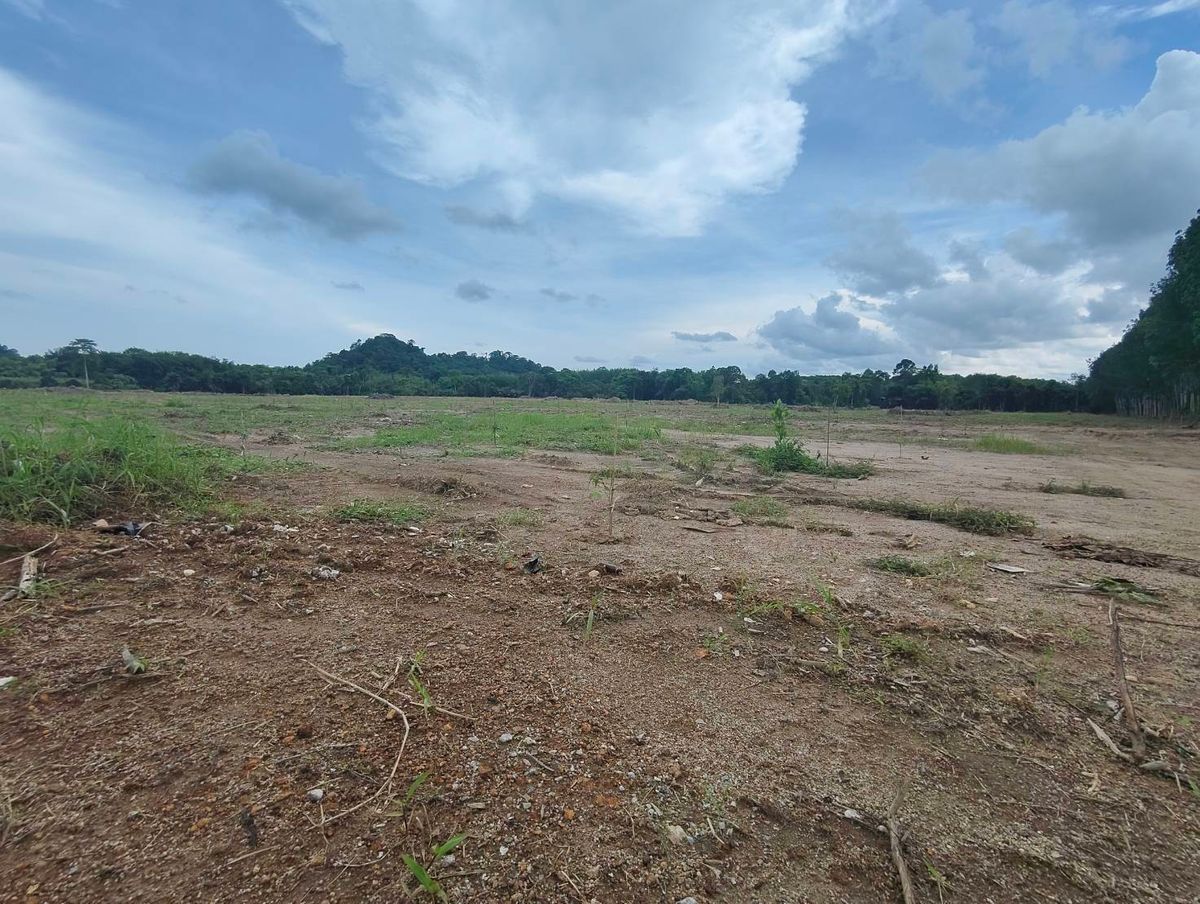 ขายที่ดินจันทบุรี : ขายที่ดินเปล่าทำเลทอง 52 ไร่ ผังสีเขียว ต.ท่าช้าง อ.เมือง จ.จันทบุรี