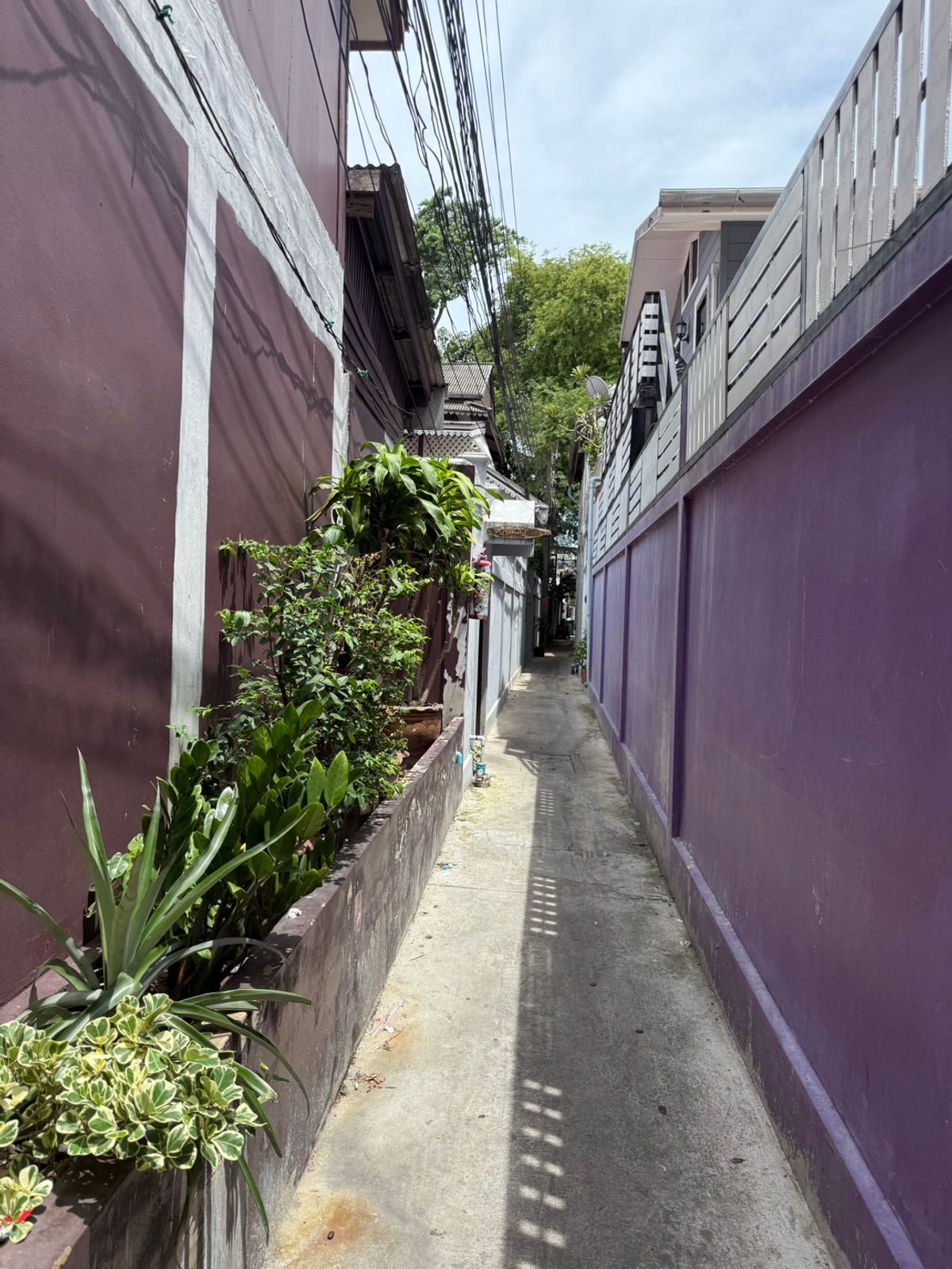 ขายบ้านเยาวราช บางลำพู : ขายบ้านพร้อมที่ดินใจกลางพระนคร ทำเลทรงคุณค่า ตั้งอยู่ที่ตรอกตึกดิน ตรงข้าม ศาลาว่าการกรุงเทพ โอกาสการลงทุนที่หาไม่ได้ง่ายๆ  