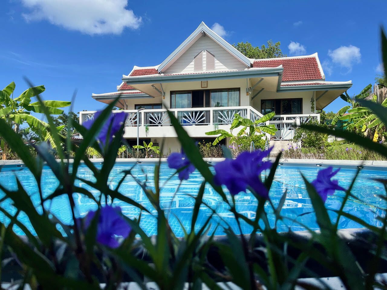 For SaleHouseKoh Samui, Surat Thani : 3 Bedroom House for sale in Bo Phut, Surat Thani  U5552696