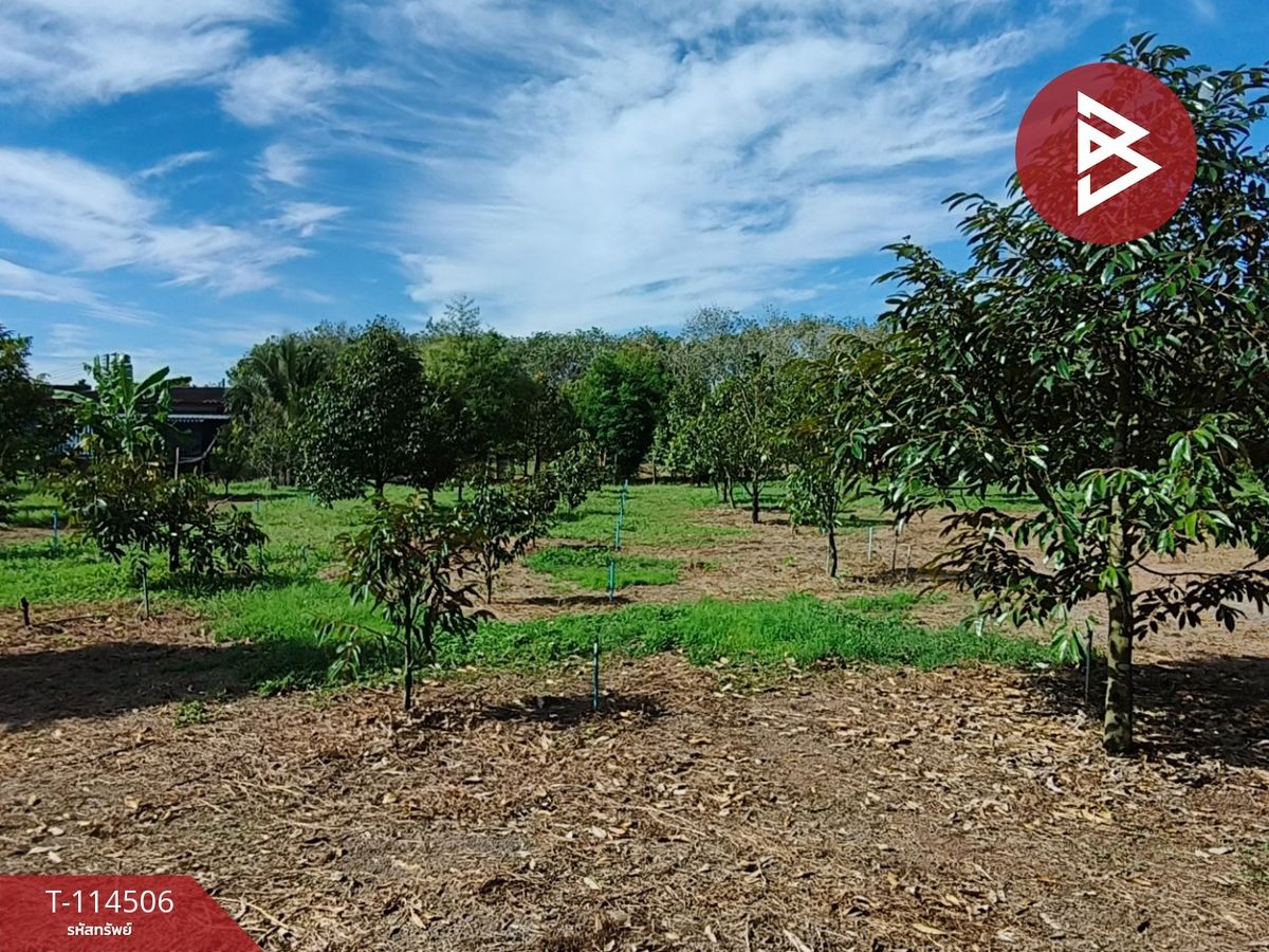ขายที่ดินจันทบุรี : ขายที่ดิน เนื้อที่ 2 ไร่ ท่าช้าง จันทบุรี