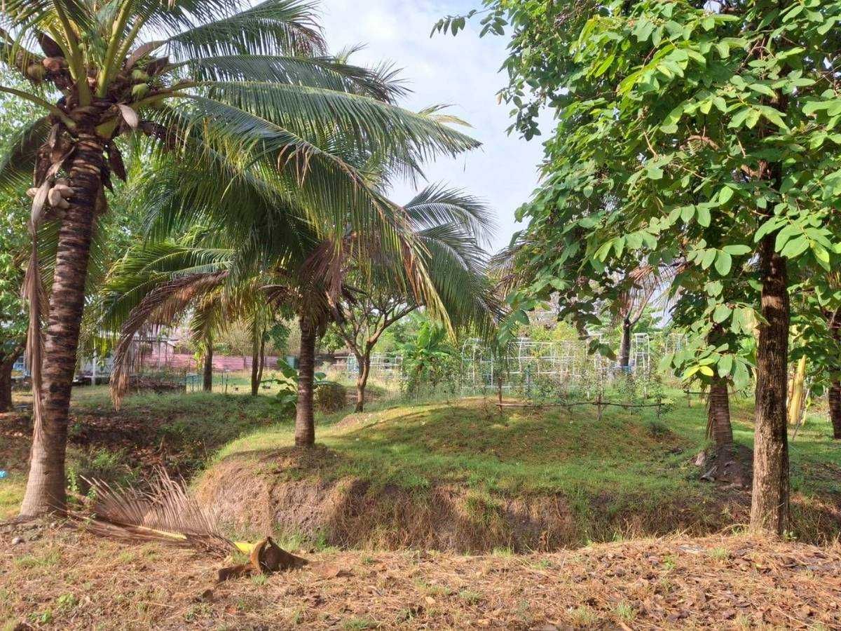 ขายที่ดินลพบุรี : ขายที่ดิน ขนาดที่ดิน 15 ไร่ 12.6 ตร.ม. ติดถนนสาย21 สระบุรี-หลุ่มสัก
