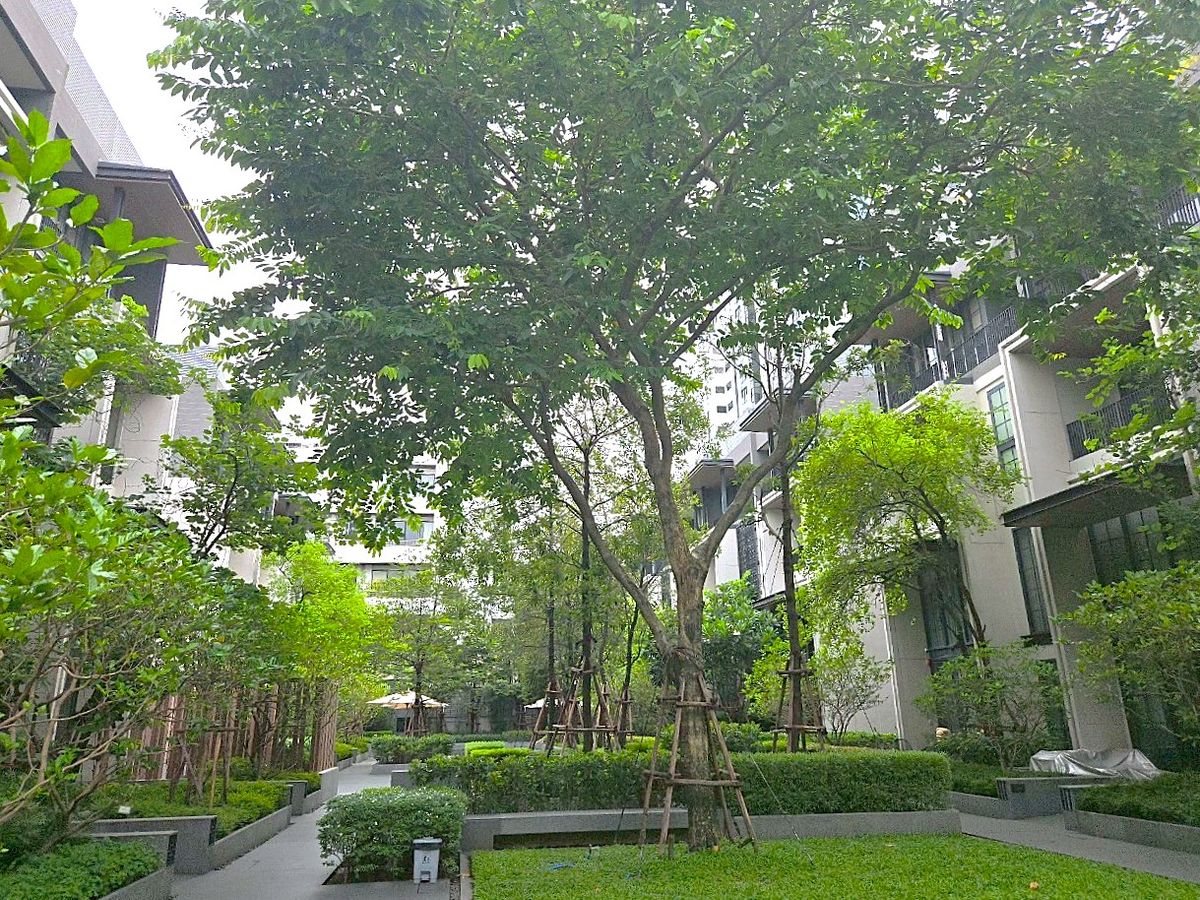 HouseSukhumvit, Asoke, Thonglor : Luxury House in private project at Phrom Phong ** NO CO-AGENT **  