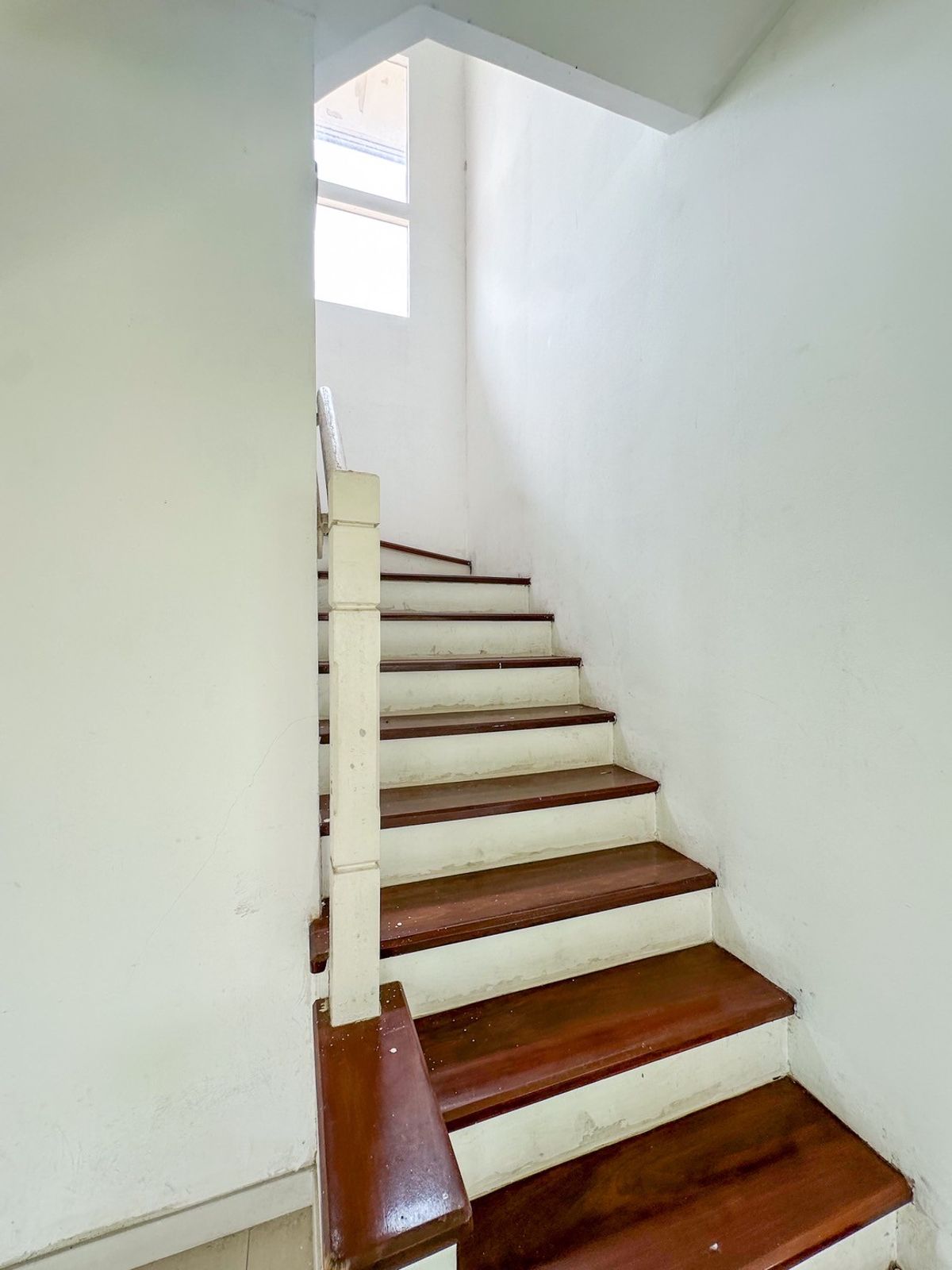 For SaleHouseRama 2, Bang Khun Thian : 🏡🌳 Detached house with a dream garden! Pruek Lada Tha Kham - Rama 2, near the high -priced expressway!